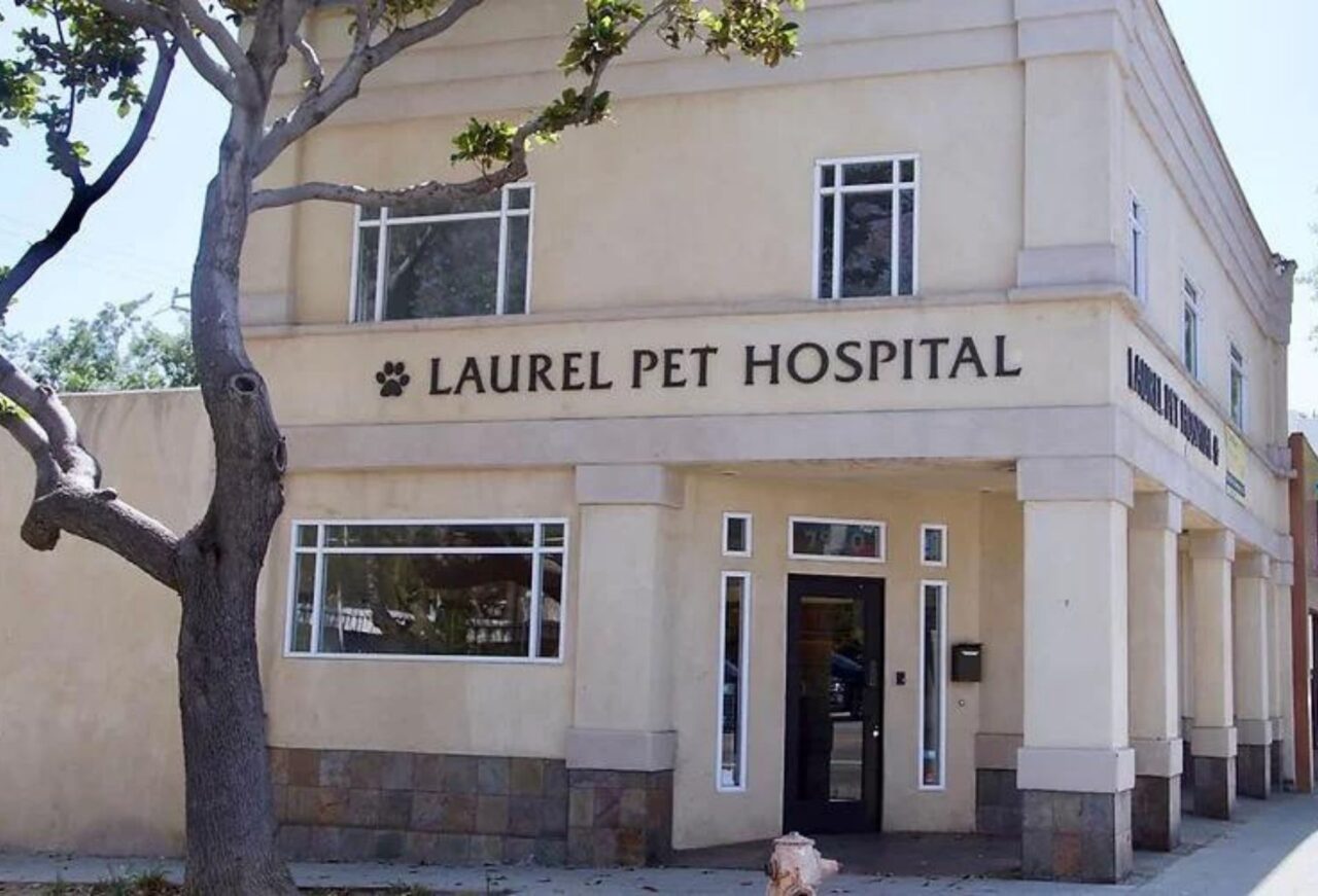 About Laurel Pet Hospital Vet In West Hollywood CA, 90046