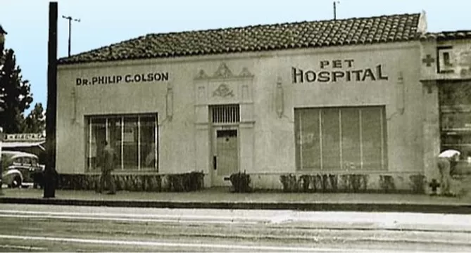 Best Vet Hospital In West Hollywood | Laurel Pet Hospital