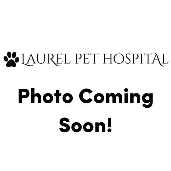 Laurel pet hospital - comingsoon